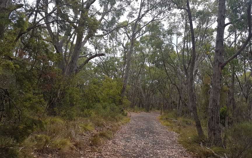 Mylor Conservation Park, Mylor, SA