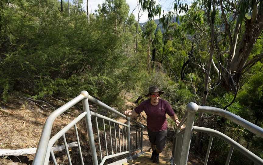 Wilhelmina Falls, Murrindindi, VIC