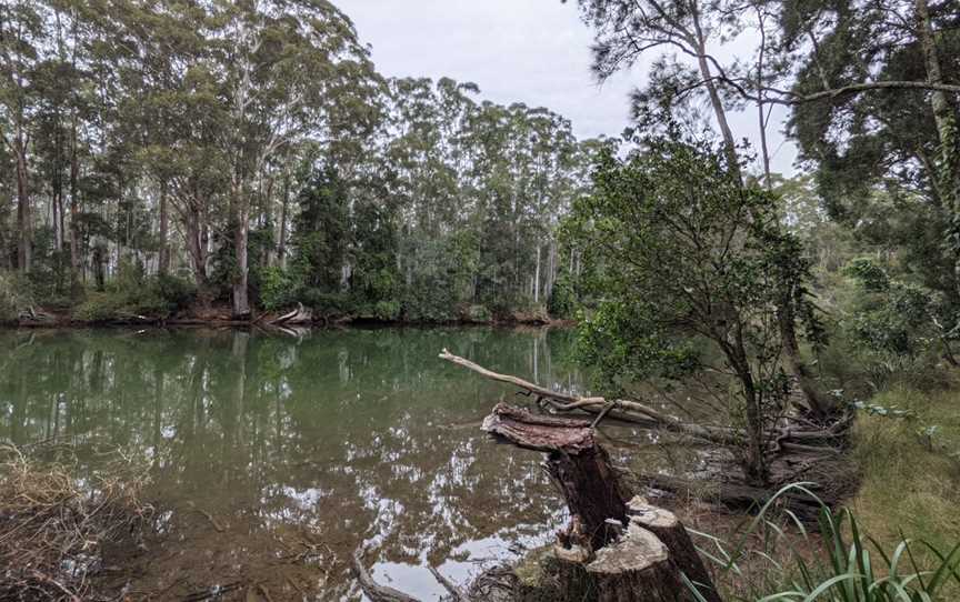 Bongil picnic area, Sawtell, NSW