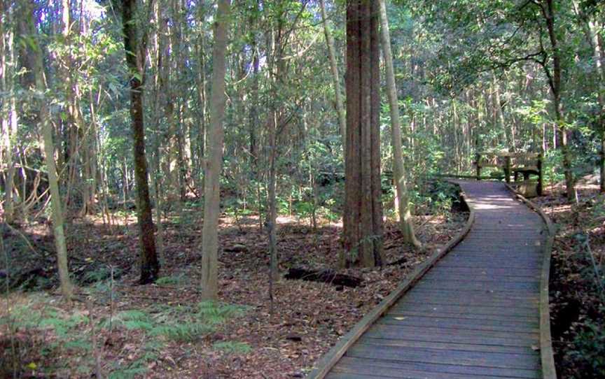 Wingham Brush Nature Reserve, Wingham, NSW