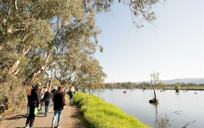 Albury - Murray River Precinct, Albury, NSW