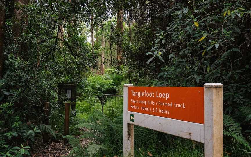 Tanglefoot Loop, Toolangi, VIC