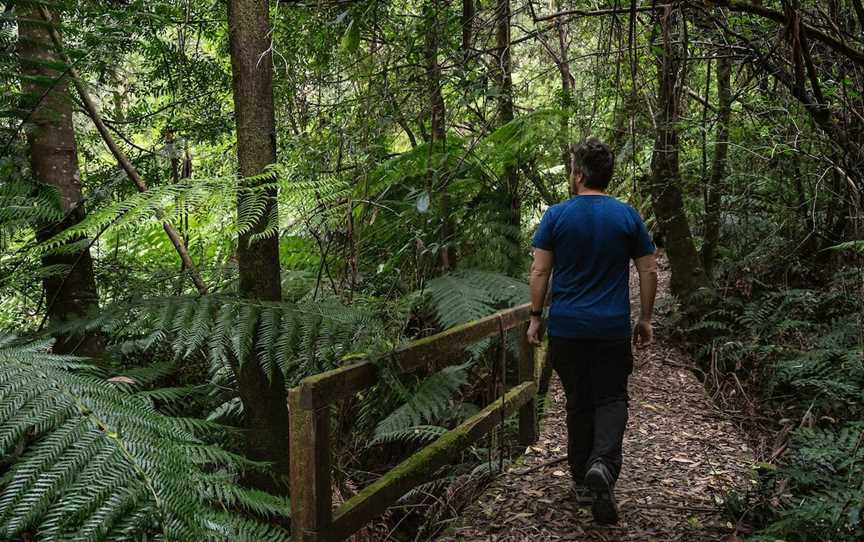 Tanglefoot Loop, Toolangi, VIC