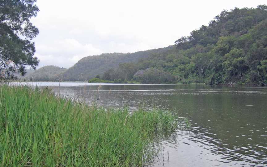 Dharug National Park, Gunderman, NSW