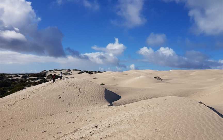 Yanerbie Sandhills, Streaky Bay, SA