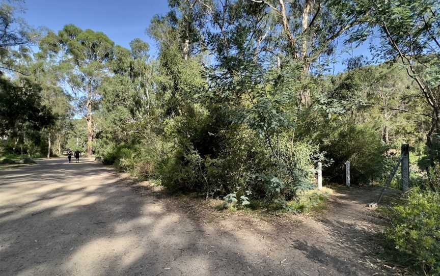 Warrandyte River Reserve, Warrandyte, VIC