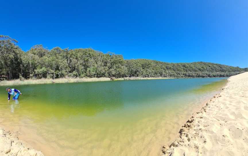 Lake Wabby, K'gari, QLD