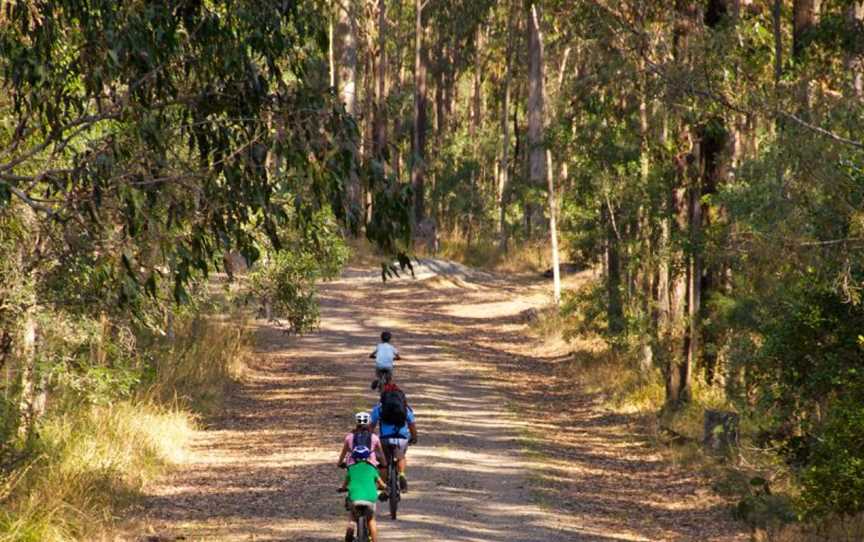 Daisy Hill Conservation Park and Koala Centre, Daisy Hill, QLD