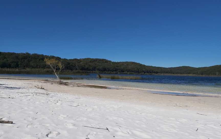 Lake Birrabeen, K'gari, QLD