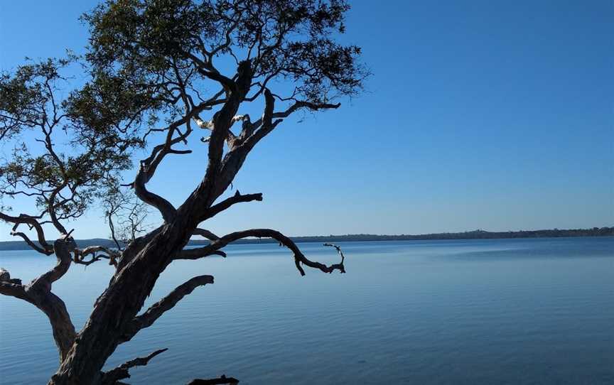 Lake Weyba, Noosaville, QLD