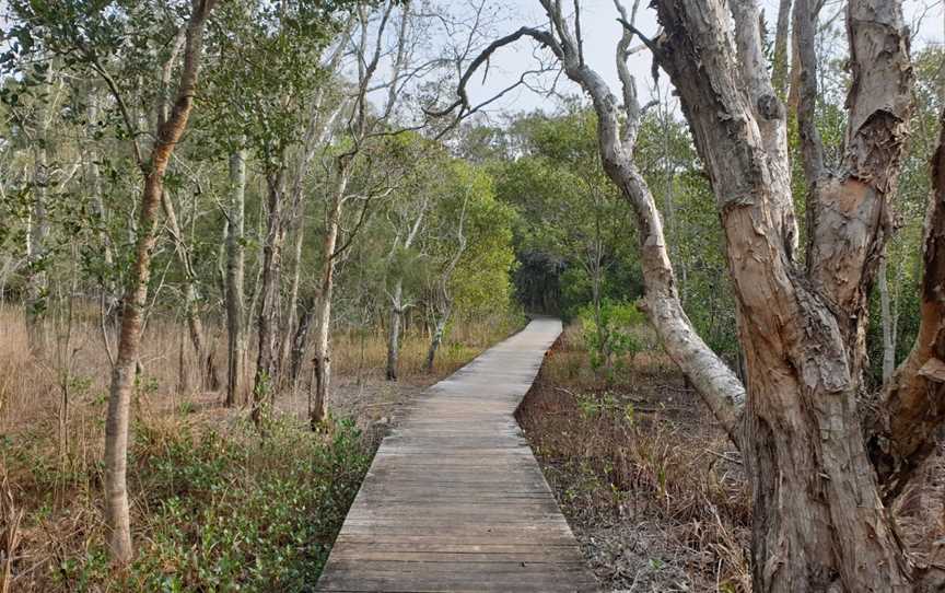 Kooloonbung Creek Nature Park, Port Macquarie, NSW