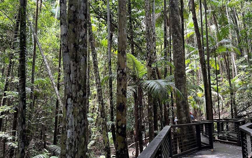 Wanggoolba Creek, K'gari, QLD