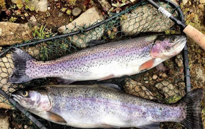 Marysville Trout and Salmon Ponds, Marysville, VIC