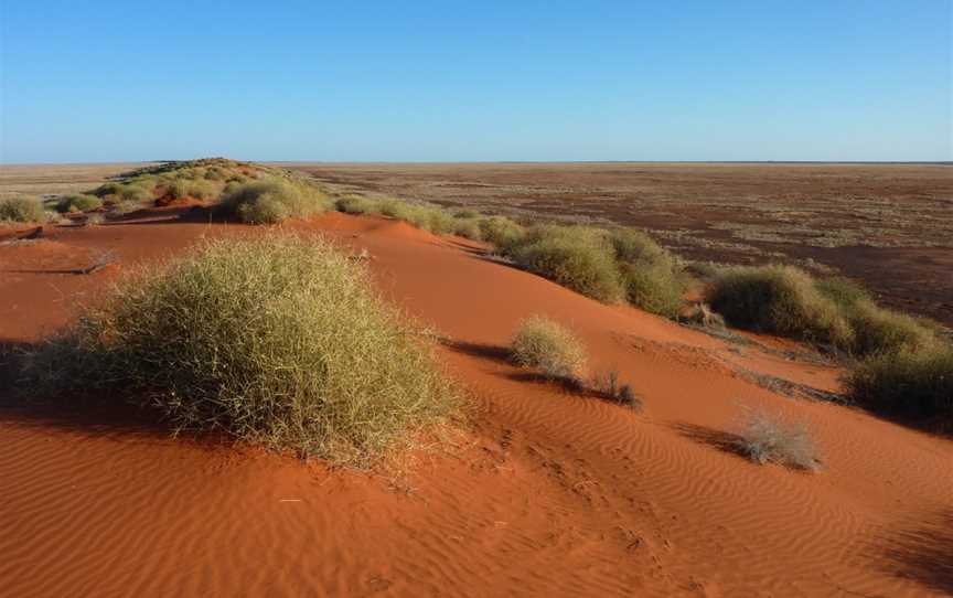 Simpson Desert, Simpson, VIC