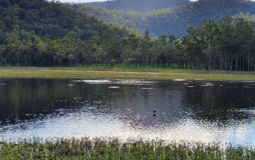 Hasties Swamp National Park, Atherton, QLD