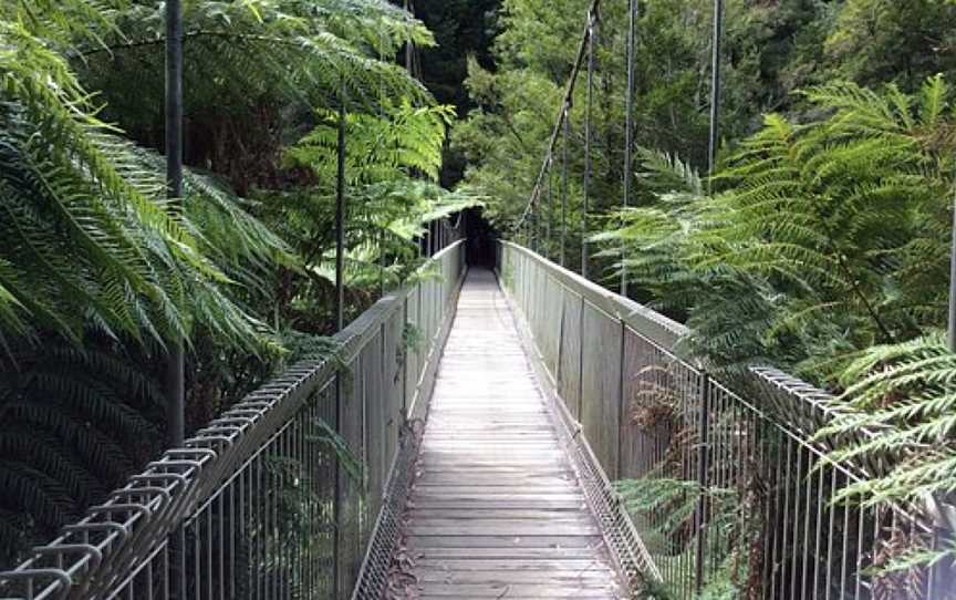 Corrigan's Suspension Bridge, Balook, VIC