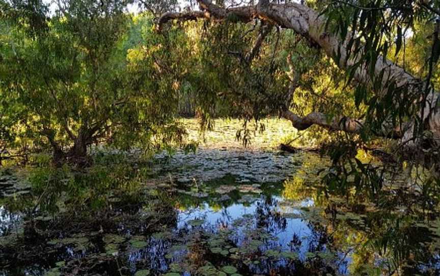 Keating's Lagoon, Cooktown, QLD