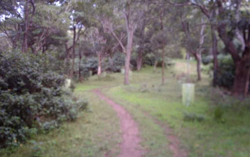 Mount Keira, Wollongong, NSW