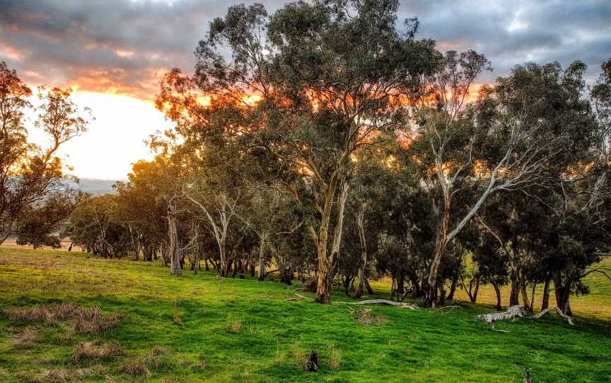 Mount Barker Summit, Mount Barker, SA