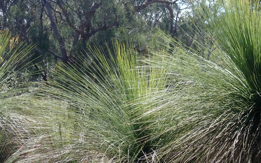 Wireless Hill Park, Ardross, WA