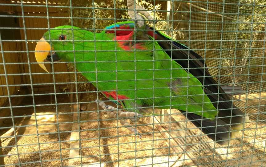 Waterways Wildlife Park, Gunnedah, NSW