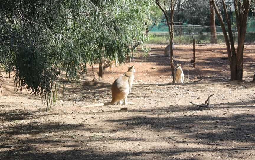 Waterways Wildlife Park, Gunnedah, NSW