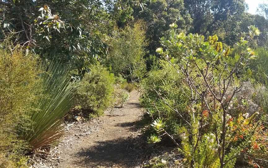 Stokes Bay Bush Garden, Stokes Bay, SA