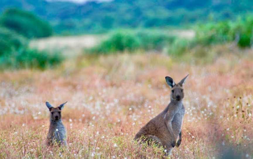 Valley Lake Conservation Park, Mount Gambier, SA