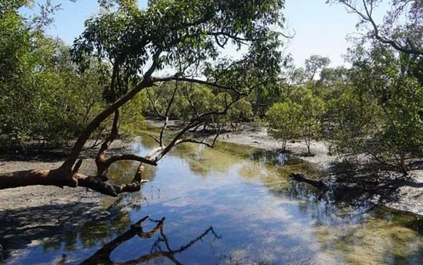 Myora Springs Conservation Area, North Stradbroke Island, QLD