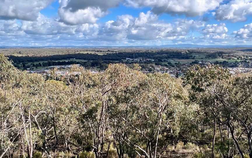 Viewing Rock Lookout, Heathcote, VIC