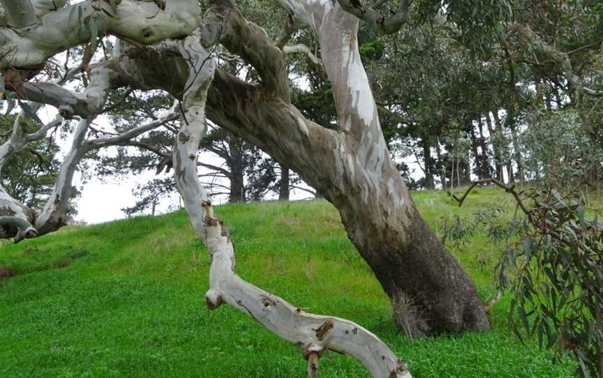 Lake Burrumbeet, Ballarat, VIC