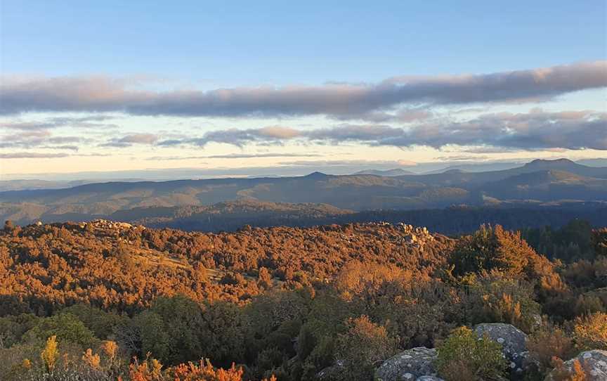 Blue Tier Forest Reserve, Weldborough, TAS