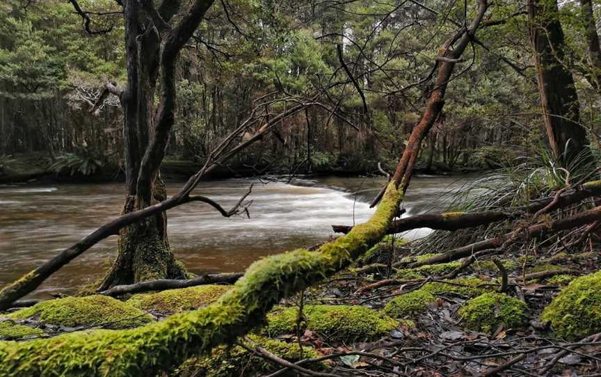 Gordon River, Southwest, TAS