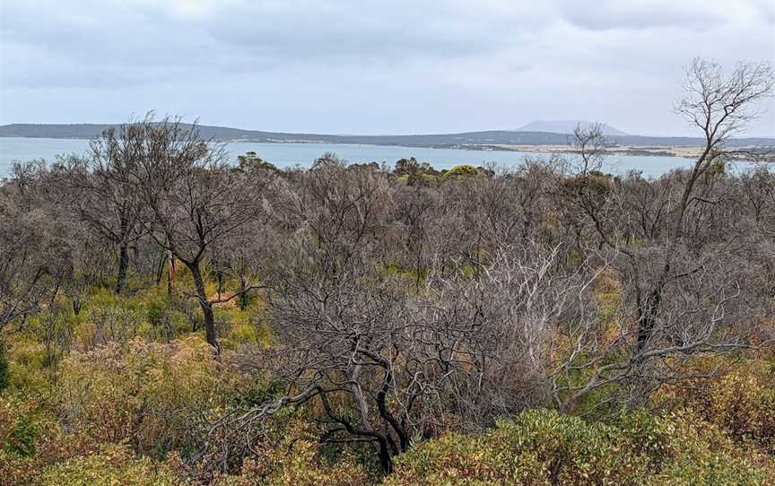 Coffin Bay Lookout, Coffin Bay, SA