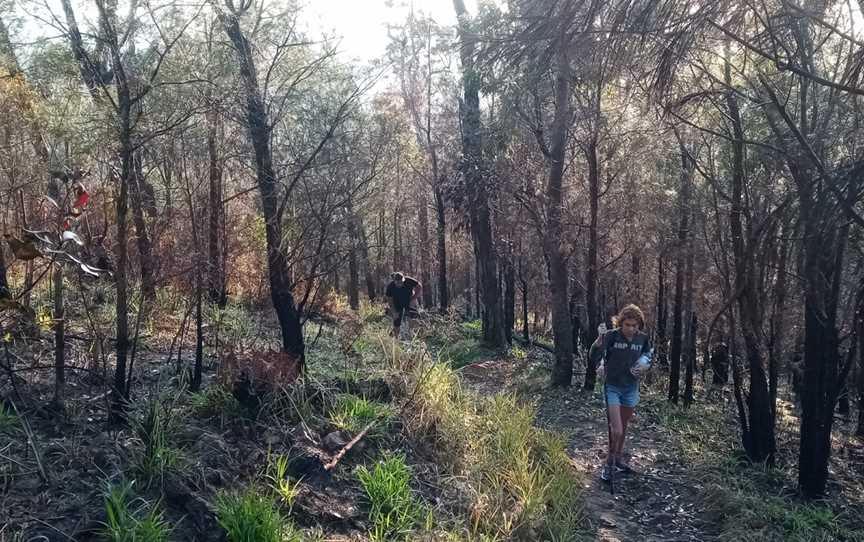 Mount Baldy, Atherton, QLD