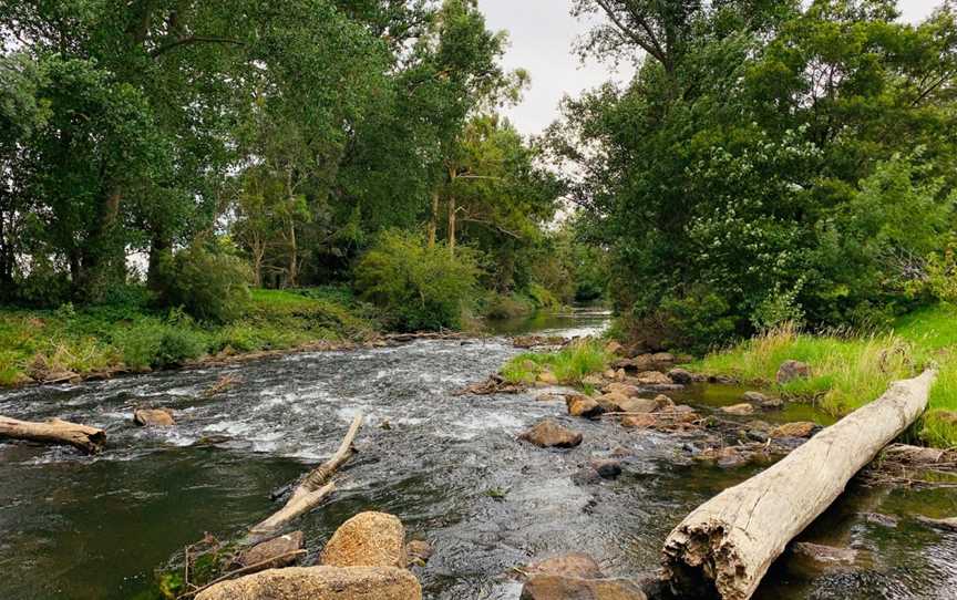 Cowwarr Weir, Cowwarr, VIC