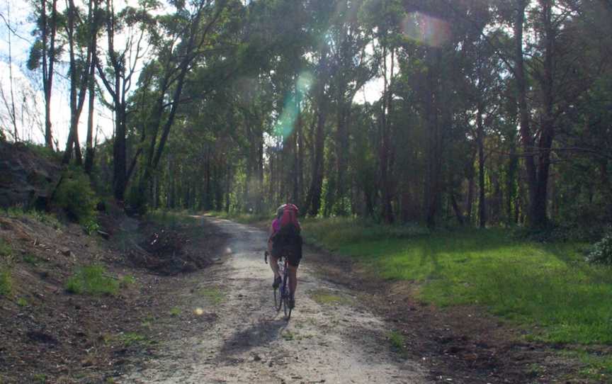 Grand Ridge Rail Trail, Mirboo North, VIC