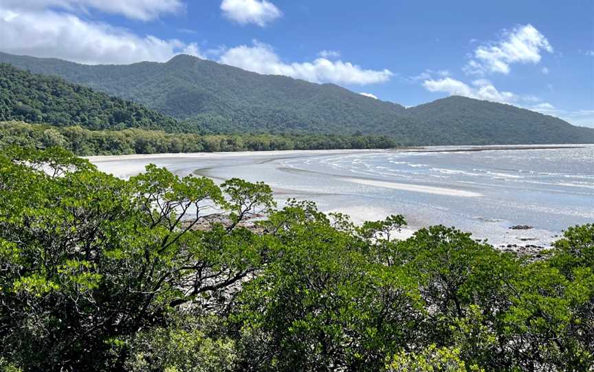 Kulki Boardwalk, Cape Tribulation, QLD