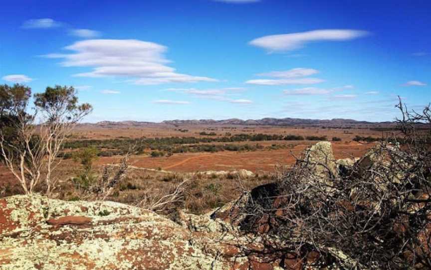 Bendleby Ranges, Orroroo, SA