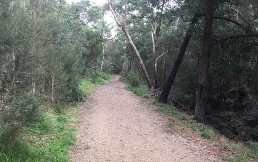 Damper Creek Reserve, Mount Waverley, VIC