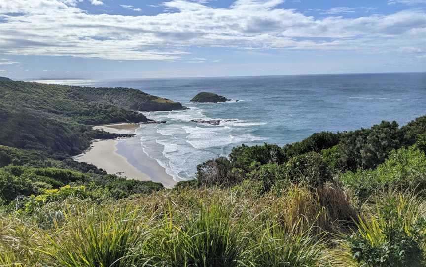 Hat Head National Park, Hat Head, NSW