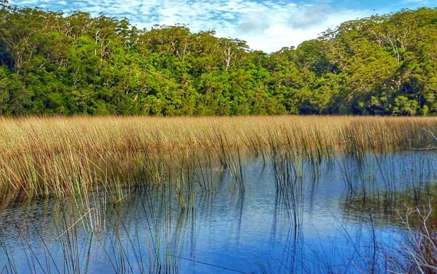 Lake Allom, K'gari, QLD