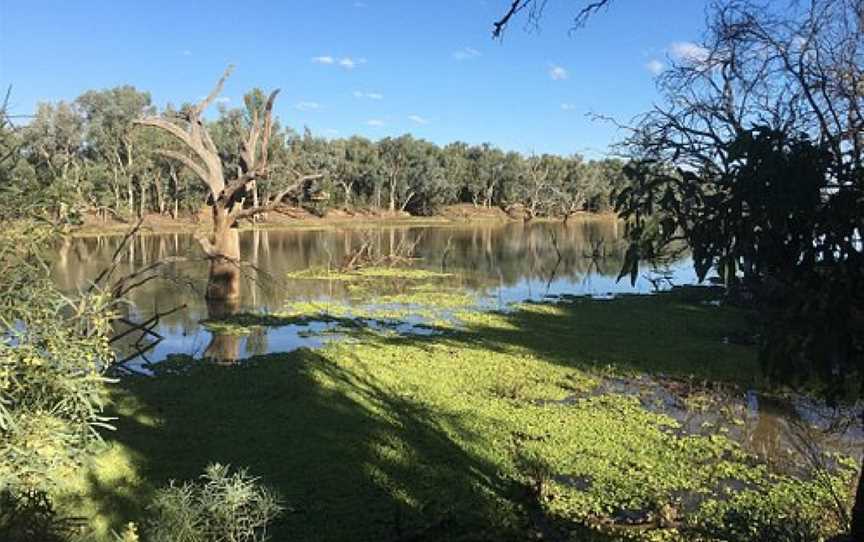 Cunnamulla Bushlands, Cunnamulla, QLD