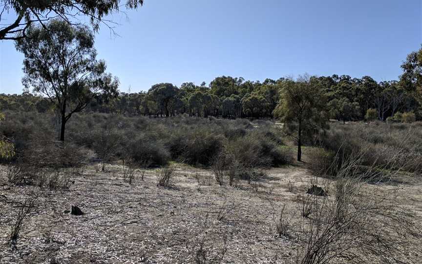 Kings Billabong Park, Irymple, VIC