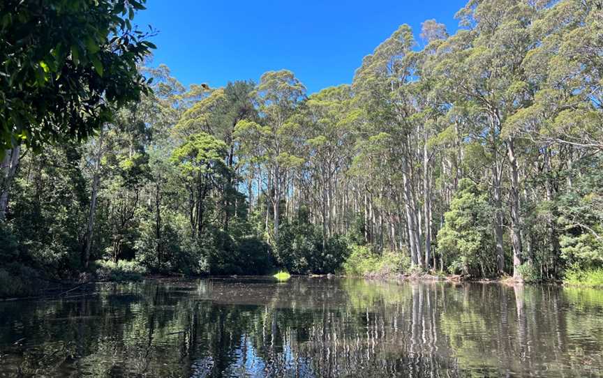 Sanatorium Lake, Mount Macedon, VIC