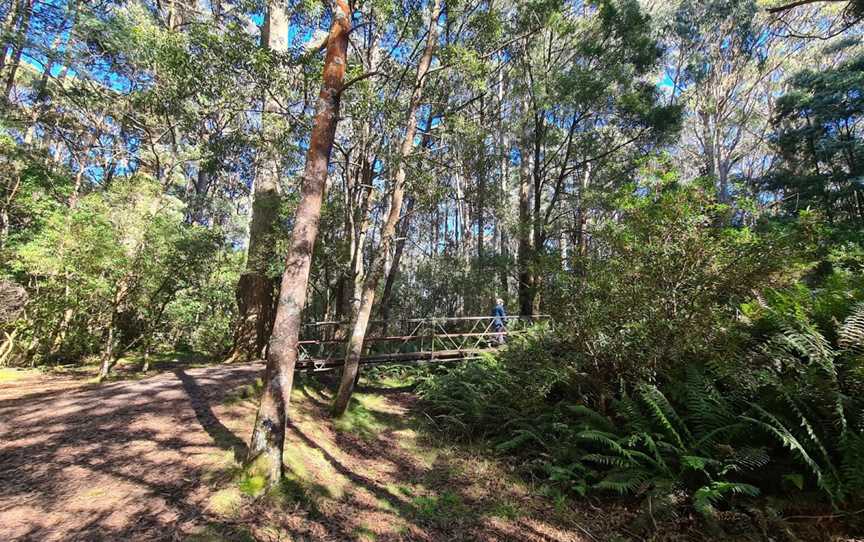 Sanatorium Lake, Mount Macedon, VIC