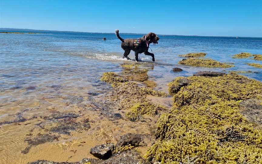 Ventnor Beach, Ventnor, VIC