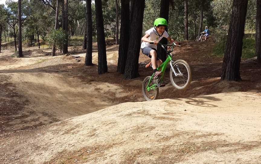 Anglesea Bike Park, Anglesea, VIC