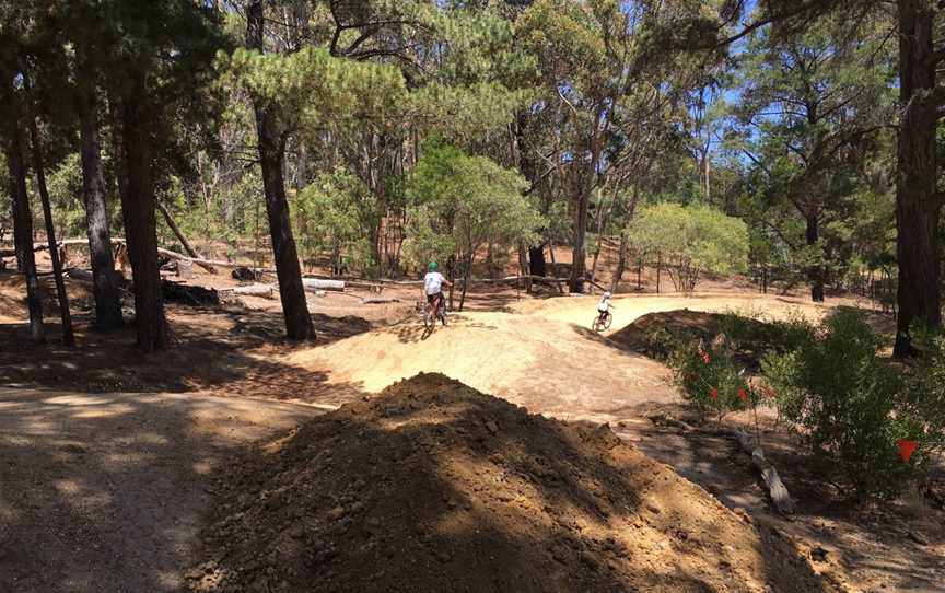 Anglesea Bike Park, Anglesea, VIC