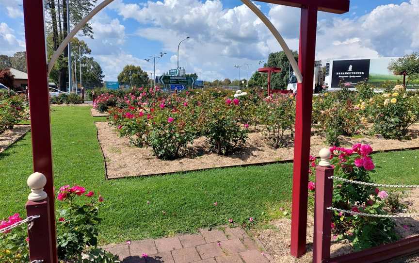 Cowra Rose Garden, Cowra, NSW